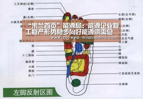 “米兰首页”能源局：能源企业复工复产形势稳步向好能源供需总体平衡