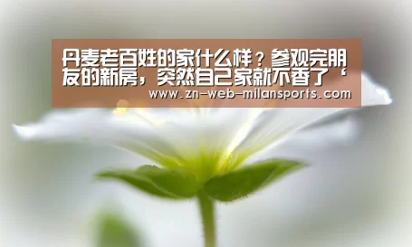 米兰体育官网下载