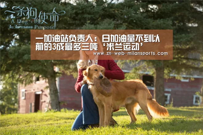 一加油站负责人:日加油量不到以前的3成最多三吨‘米兰运动’(图2) 米兰运动